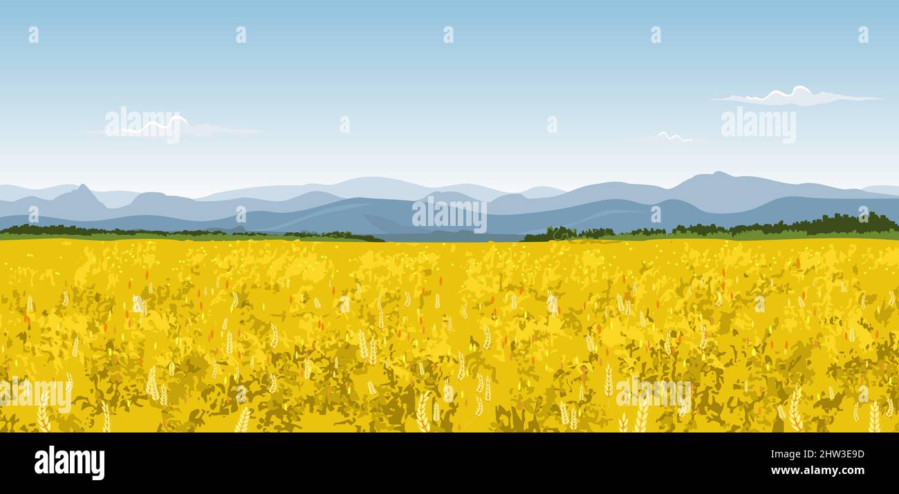 A field of ripe wheat against the backdrop of mountains and a sky with clouds. Ukrainian landscape. Stock Vector