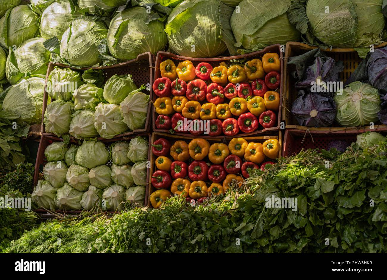 Large market stall full of organic vegetables Stock Photo - Alamy