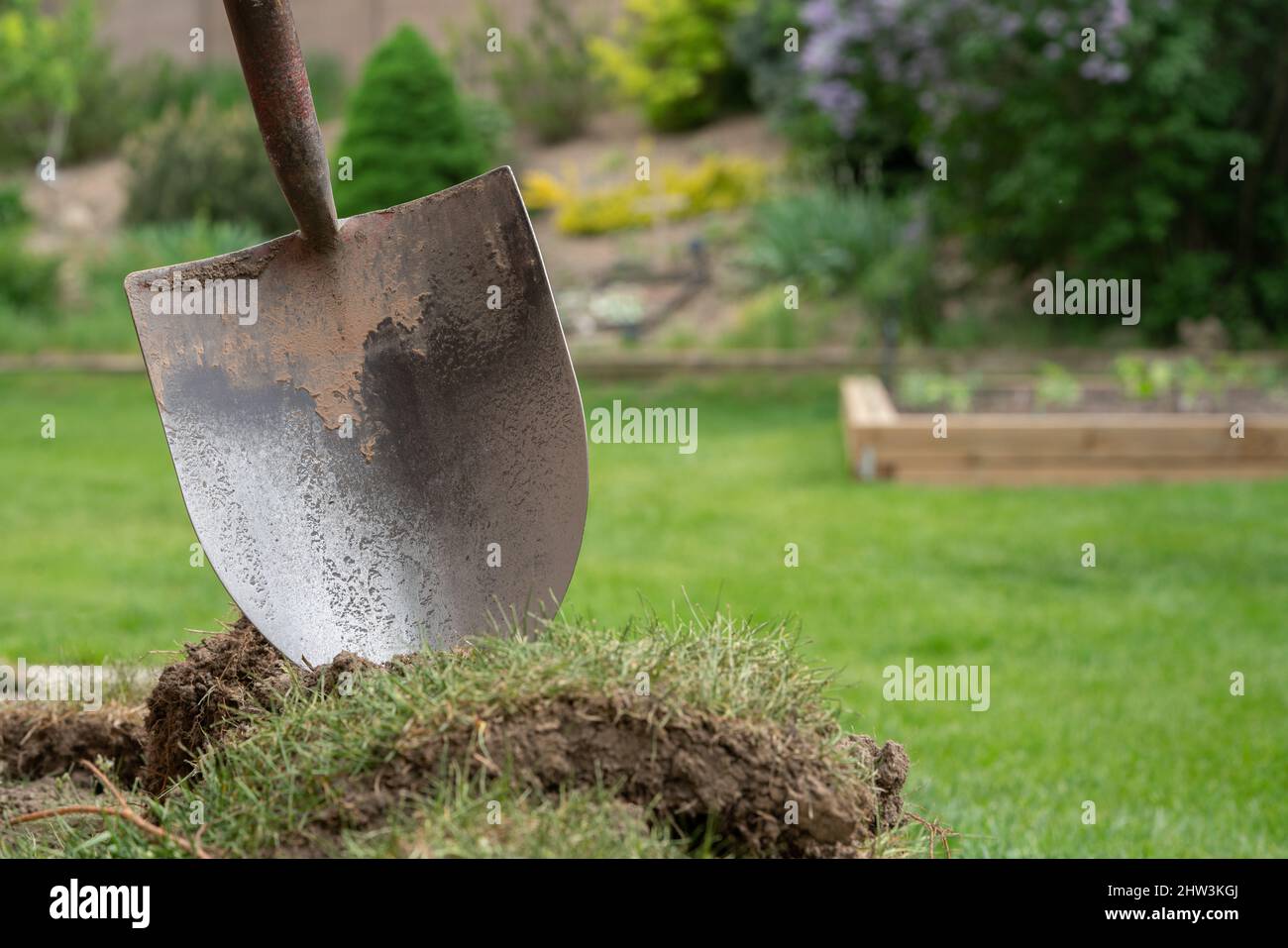 Shovel in dirt during backyard garden renovations during the summer in Brampton, Ontario Canada Stock Photo