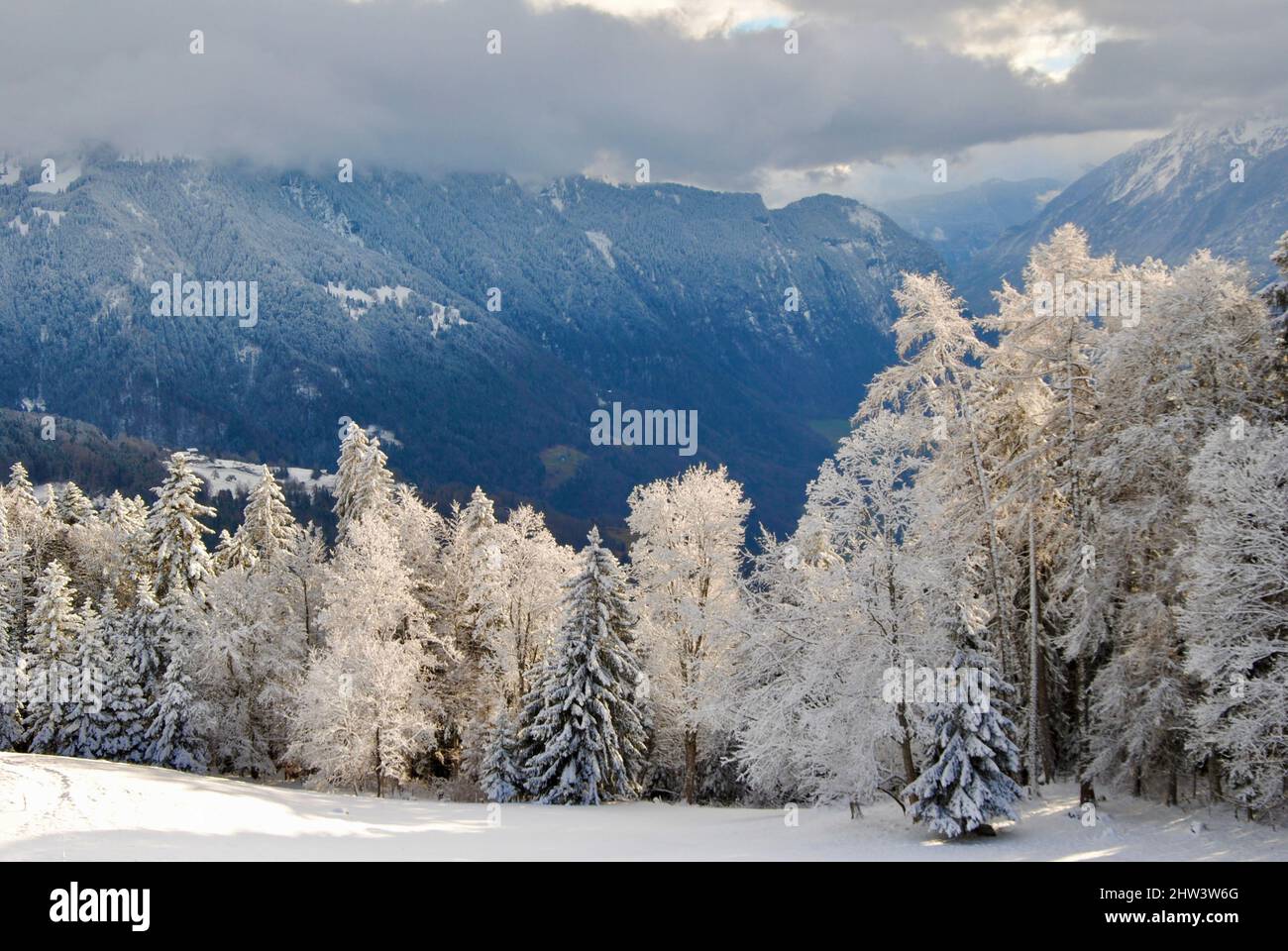 Frost covered landscape hi-res stock photography and images - Alamy
