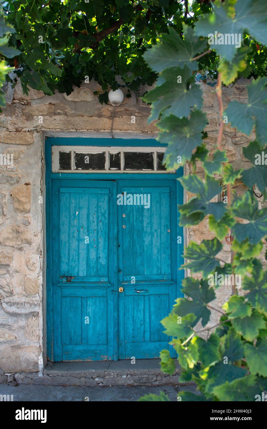Old blue wooden door in small cypriot village and grapes plant Stock ...