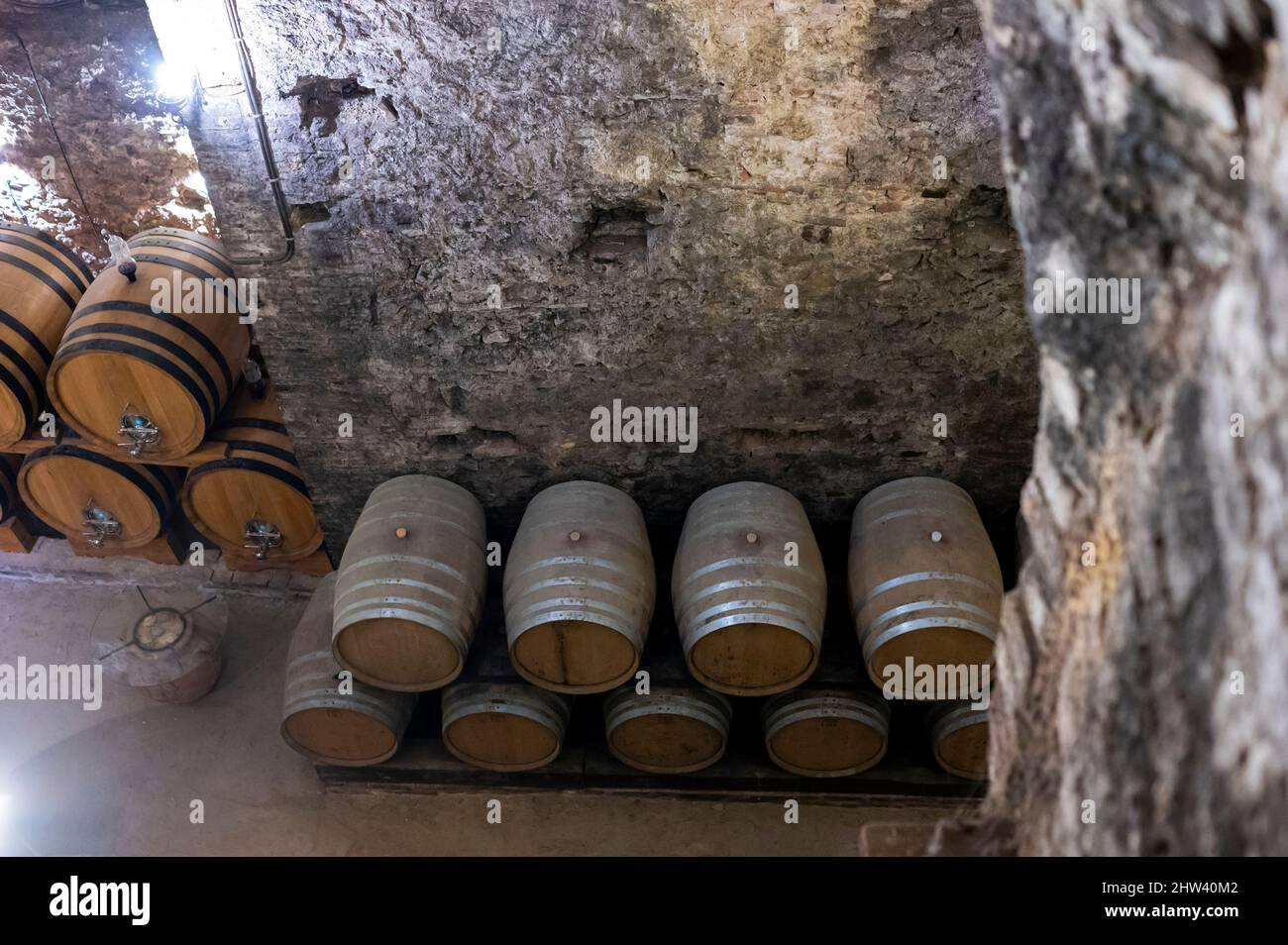 Medieval underground wine cellars with old red wine barrels for aging