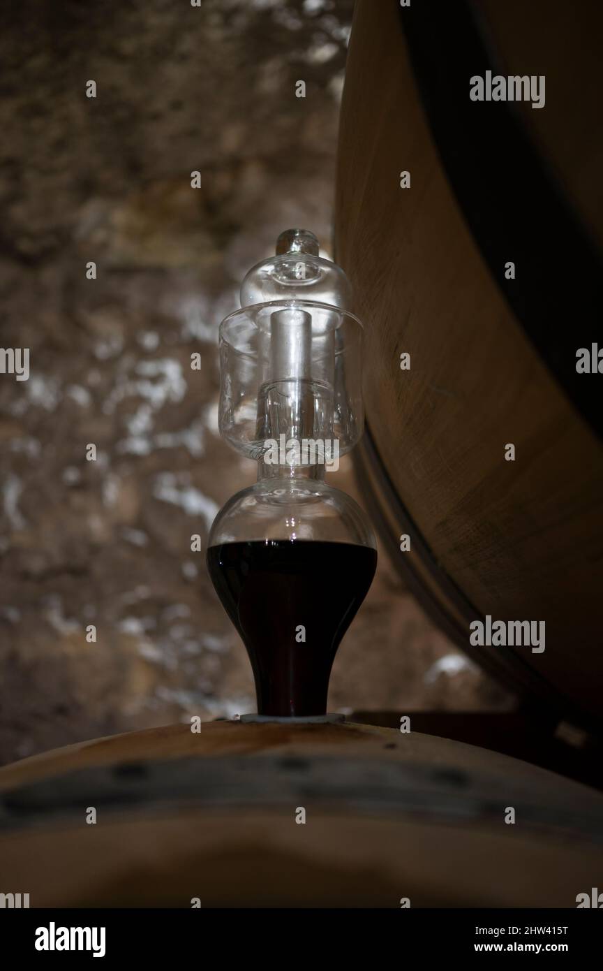 Medieval underground wine cellars with old red wine barrels for aging