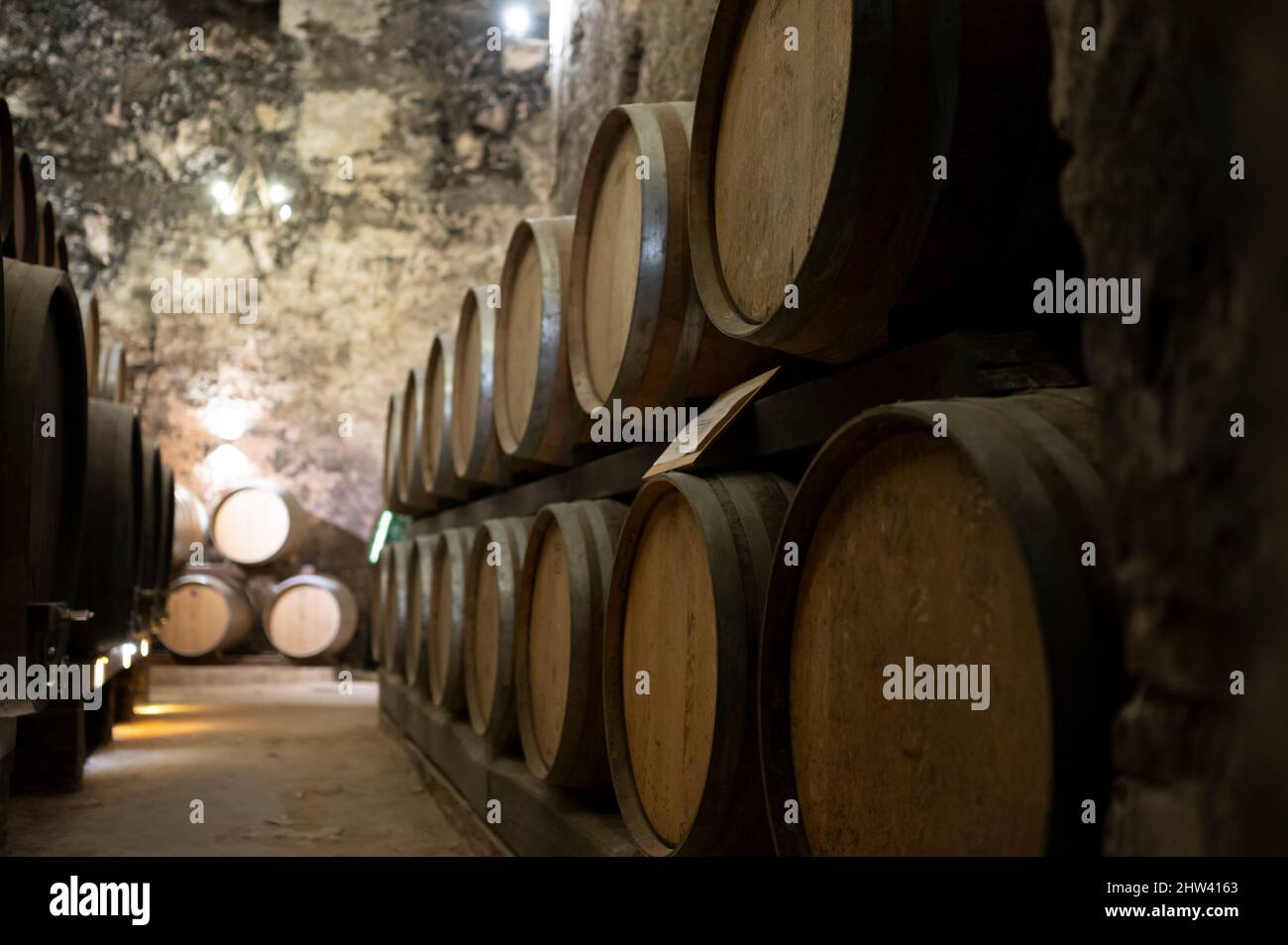 Medieval underground wine cellars with old red wine barrels for aging