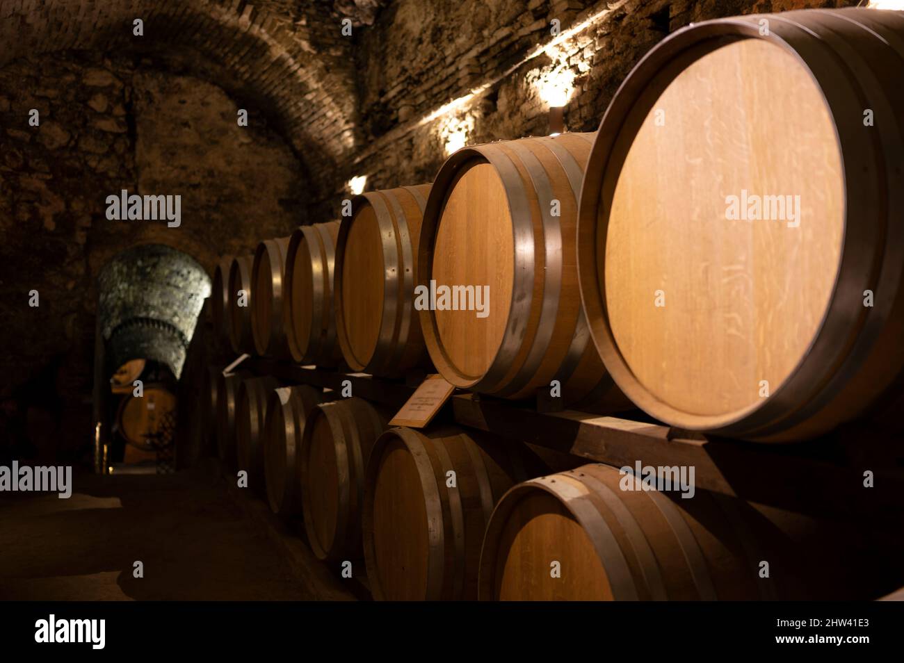 Medieval underground wine cellars with old red wine barrels for aging