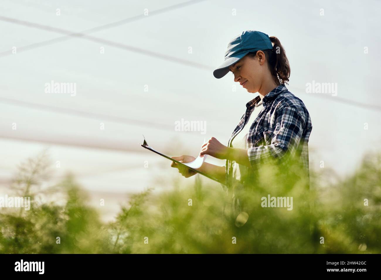 The greener the better. Cropped shot of an attractive young female farmer looking over paperwork while working on her farm. Stock Photo