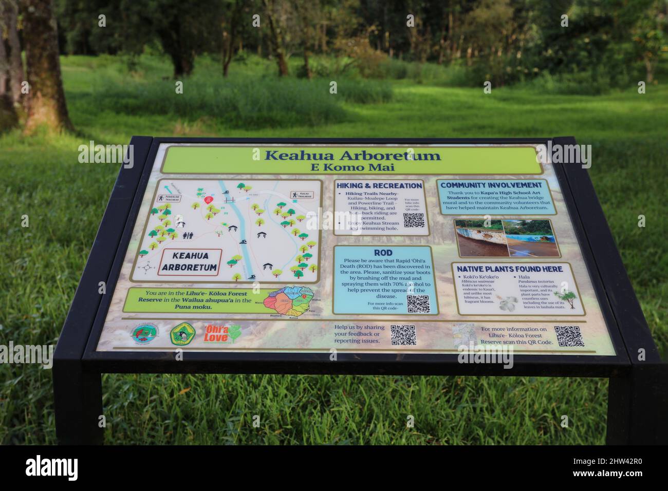An informational sign at Keahu Arboretum in the Lihue-Koloa Forest Reserve in Kauai Stock Photo