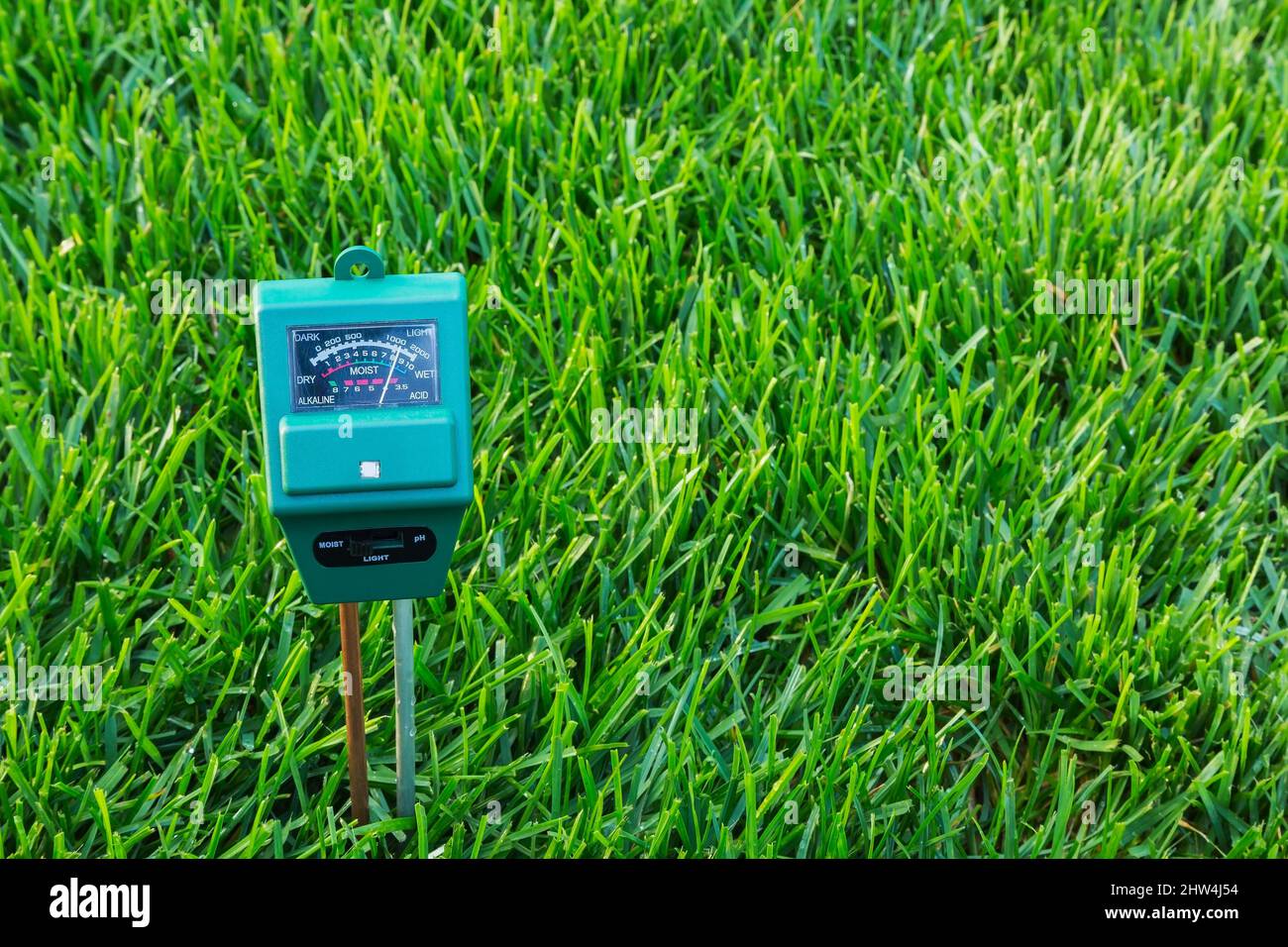 3 in 1 luminance, moisture and pH meter indicating soil condition of Poa pratensis  - Kentucky Bluegrass lawn is quite moist. Stock Photo