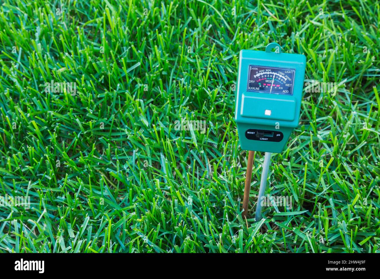 3 in 1 luminance, moisture and pH meter indicating soil condition of Poa pratensis  - Kentucky Bluegrass lawn is moist. Stock Photo