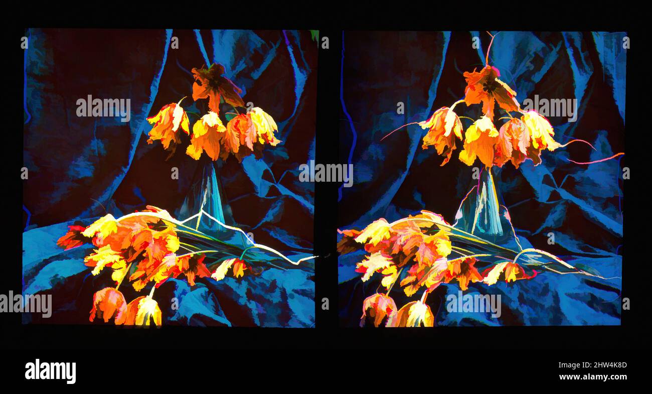 Art inspired by Tulips, 1896–1903, Trichromie, 8.5 x 17.8cm, Transparencies, Auguste-Marie-Louis-Nicolas Lumière (French, Besançon 1862–1954 Lyon) and, Louis-Jean Lumière (French, Besançon 1864–1948 Bandol, Classic works modernized by Artotop with a splash of modernity. Shapes, color and value, eye-catching visual impact on art. Emotions through freedom of artworks in a contemporary way. A timeless message pursuing a wildly creative new direction. Artists turning to the digital medium and creating the Artotop NFT Stock Photo