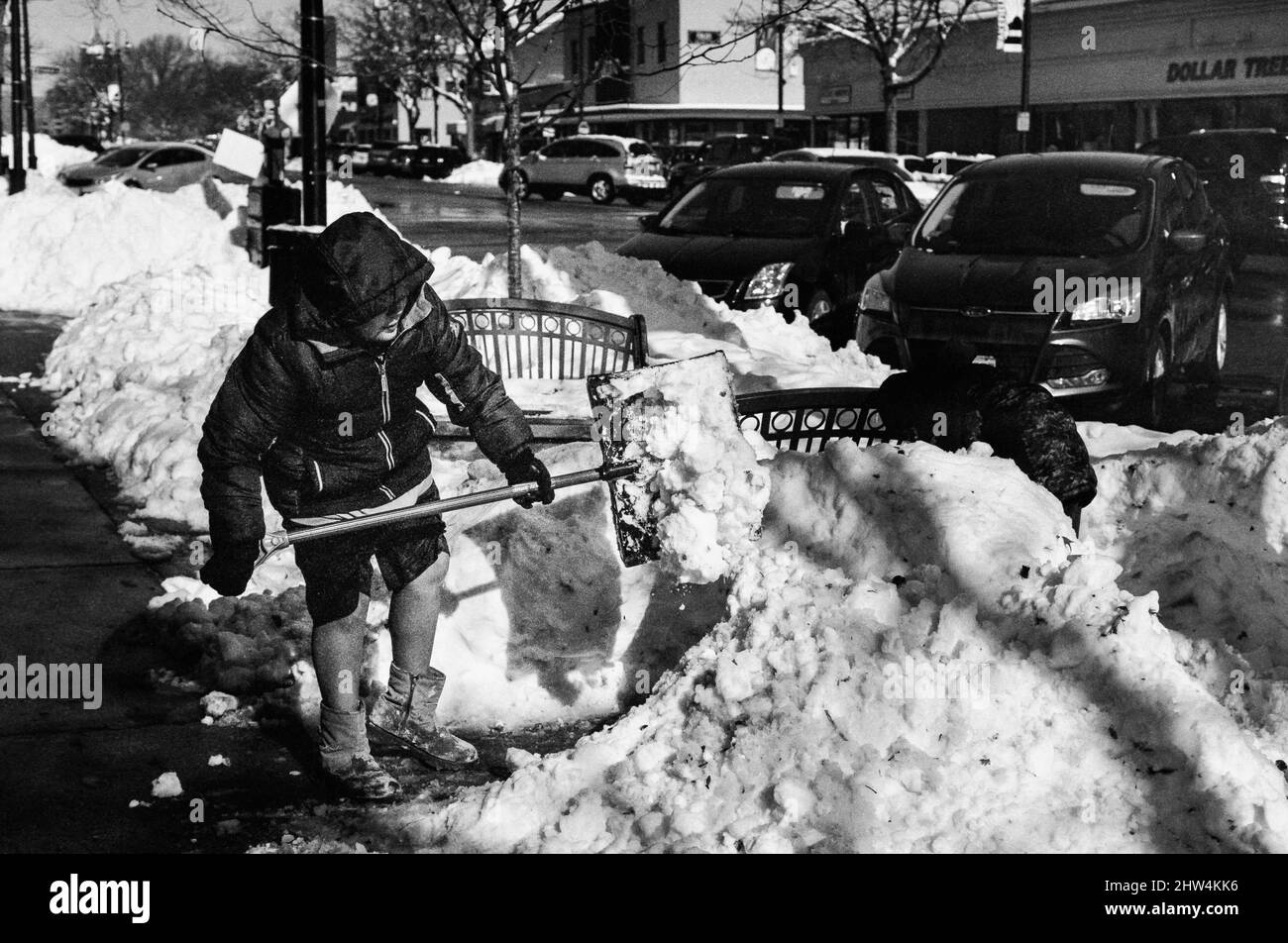 A young man shovels snow off sidewalk after a storm. Stock Photo