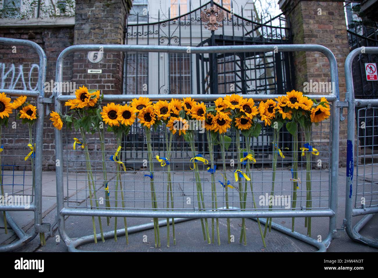 Ukraine sunflower war hi-res stock photography and images - Alamy