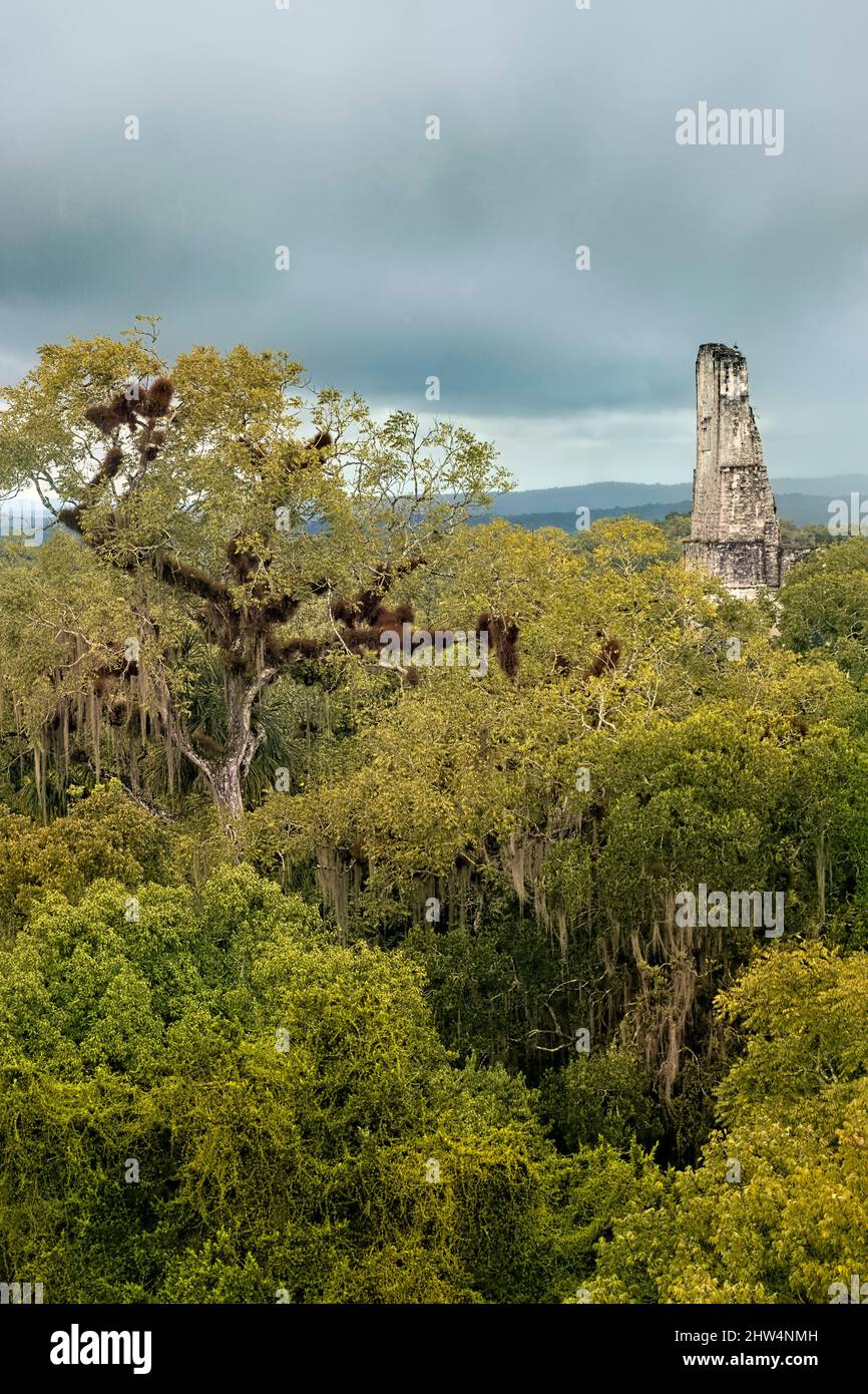 Jungle temples hi-res stock photography and images - Alamy