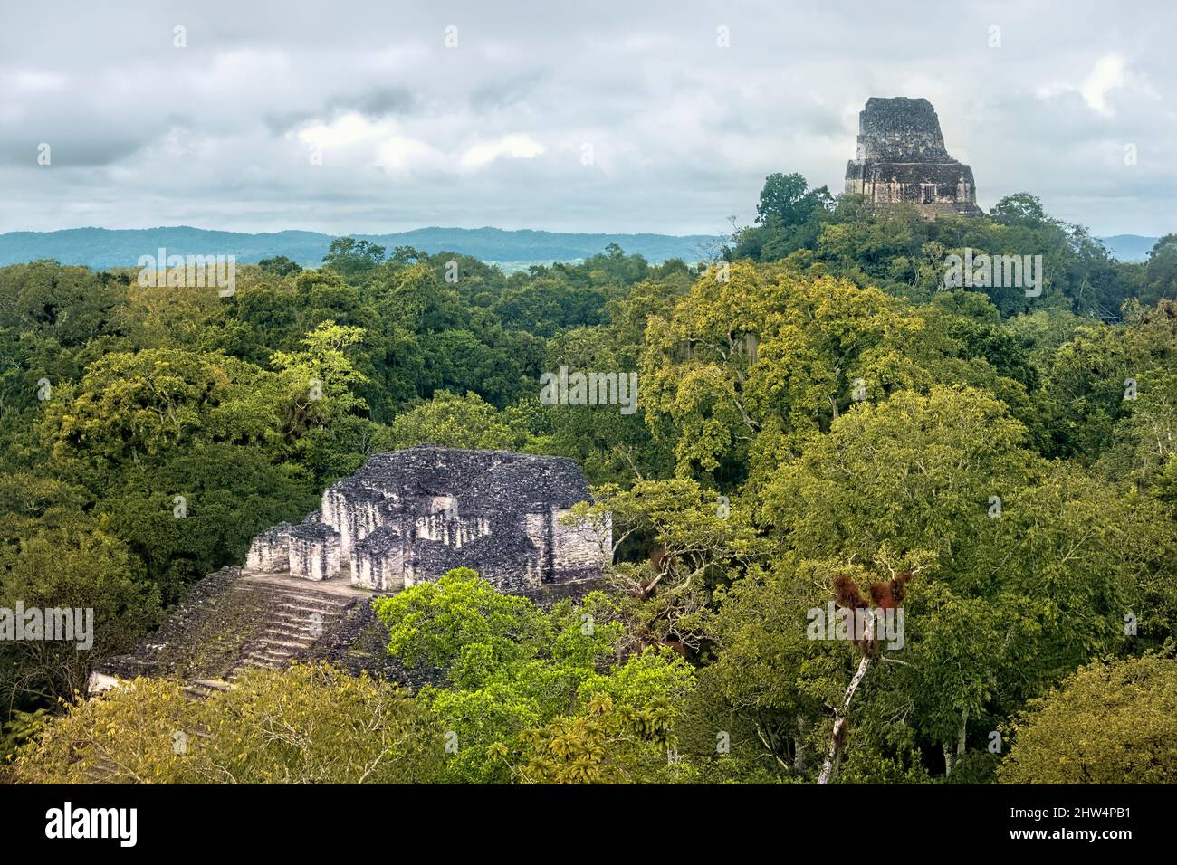 Tikal National Park Hi res Stock Photography And Images Alamy tikal-national-park-hi-res-stock-photography-and-images-alamy