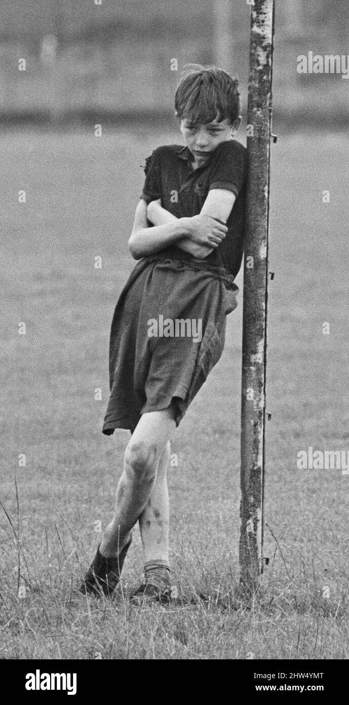 David Bradley, (aged 14) playing the part of Billy Casper, pictured ...