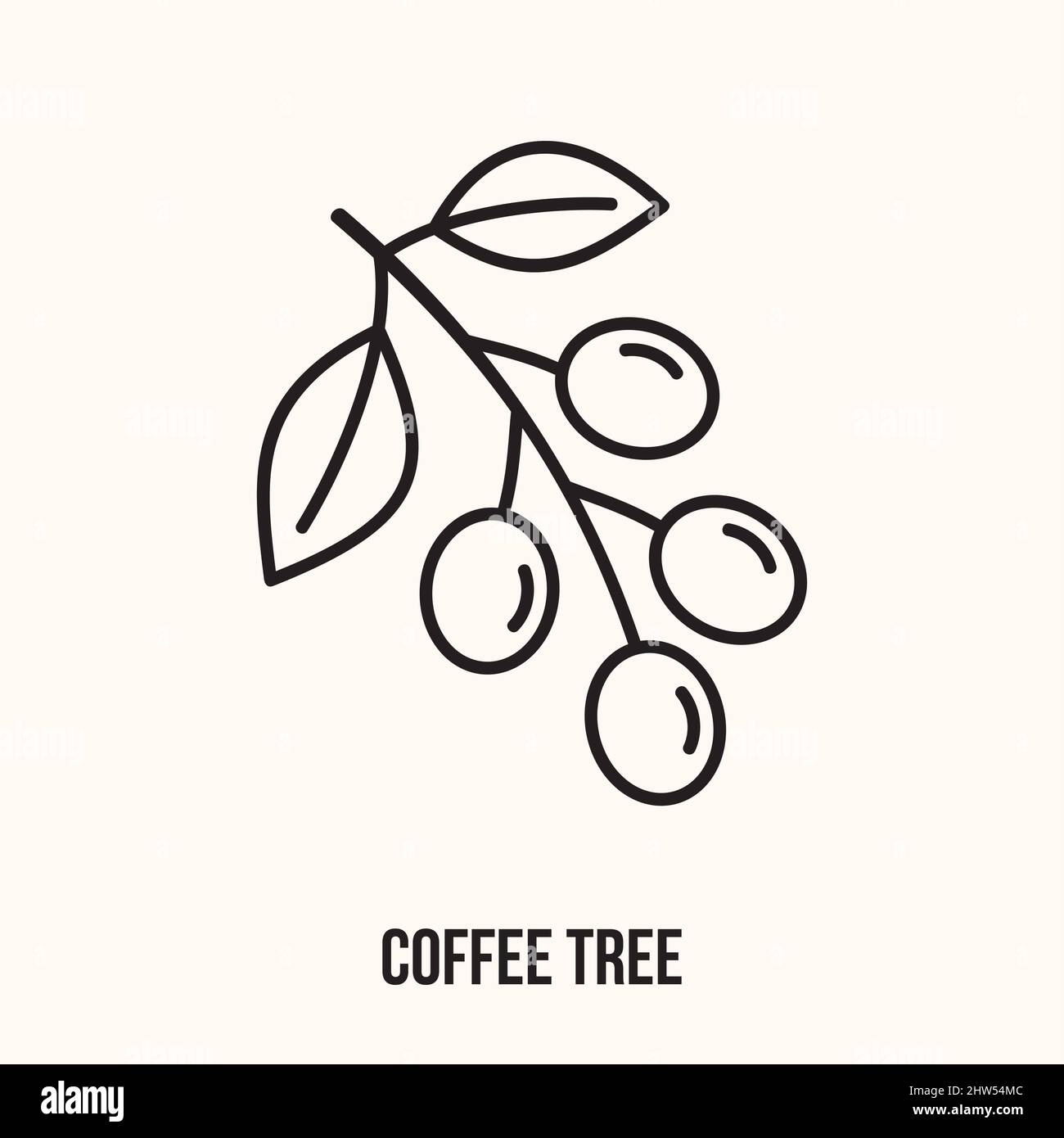 Coffee tree twig. Coffee seeds, crop, tropical plant. Coffee concept. Coffee Tree icon Stock