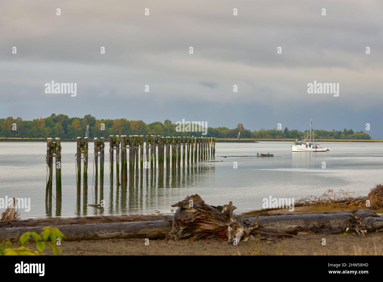 Fraser River Driftwood Barrier. A fishboat maneuvers on the Fraser River near pilings that block driftwood from Steveston Harbour. Richmond, British C Stock Photo
