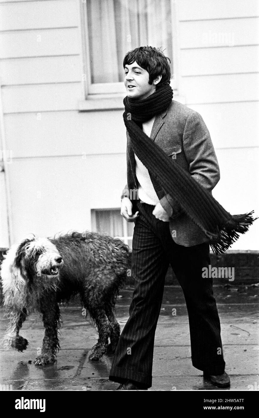 Paul McCartney of The Beatles at his St Johns Wood, London, home, with his sheep dog Martha behind him. Picture taken as part of an interview with Paul McCartney  - on day after premiere of television film Magical Mystery Tour - meeting was held at his St Johns Wood home in London   Picture taken 27th December 1967. Stock Photo