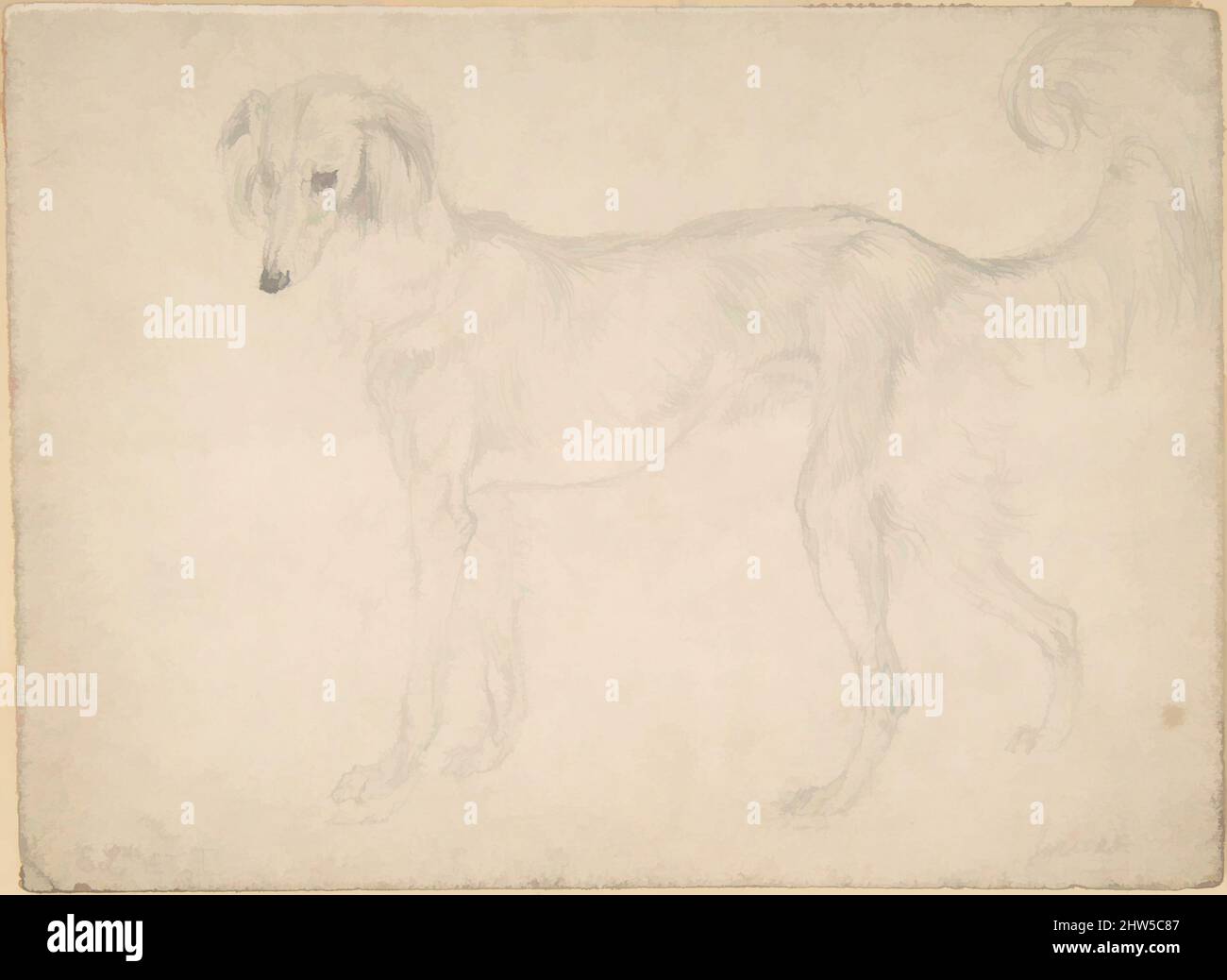 Art inspired by Study of a Dog Facing Left, 1820–73, Graphite, sheet: 5 5/16 x 7 3/16 in. (13.5 x 18.3 cm), Drawings, Sir Edwin Henry Landseer (British, London 1802–1873 London, Classic works modernized by Artotop with a splash of modernity. Shapes, color and value, eye-catching visual impact on art. Emotions through freedom of artworks in a contemporary way. A timeless message pursuing a wildly creative new direction. Artists turning to the digital medium and creating the Artotop NFT Stock Photo