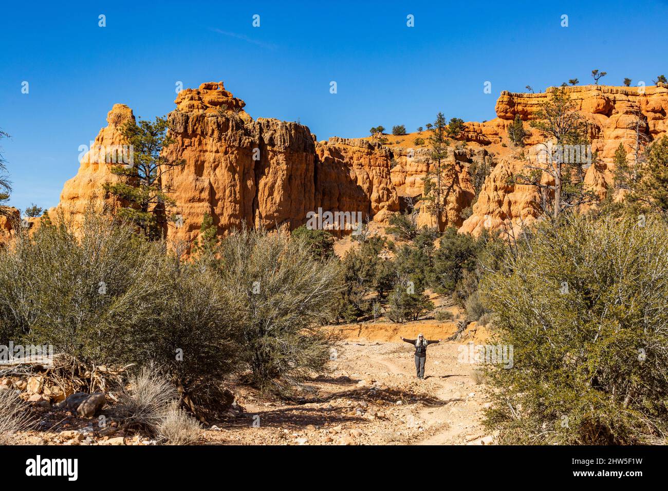 Hiker in rocky landscape hi-res stock photography and images - Alamy