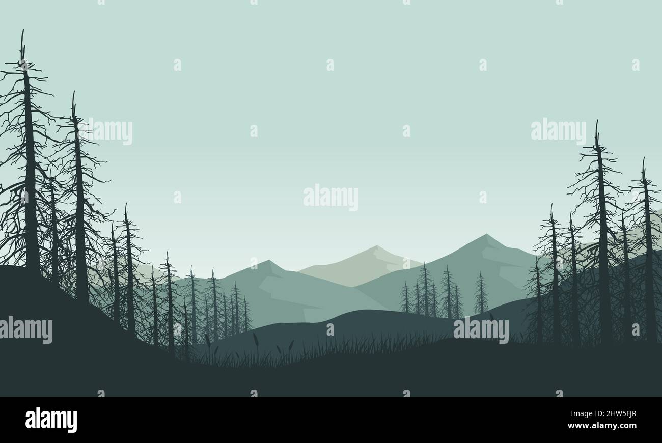 Mountain view with a realistic silhouette of dry pine trees from ...