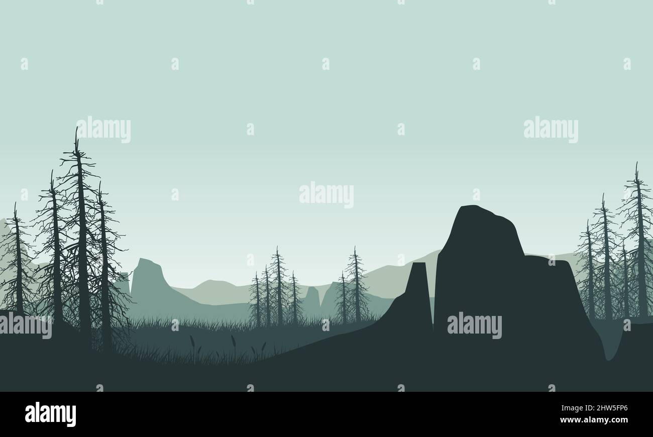 A view of the mountain view with the aesthetic silhouette of pine trees ...