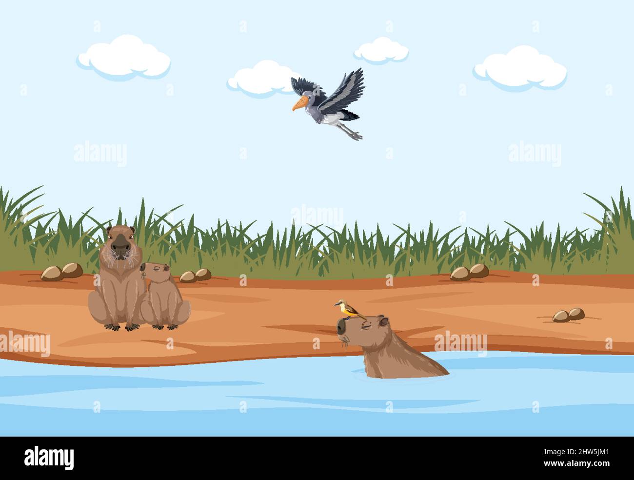 Scene with bird and wombats in water illustration Stock Vector Image