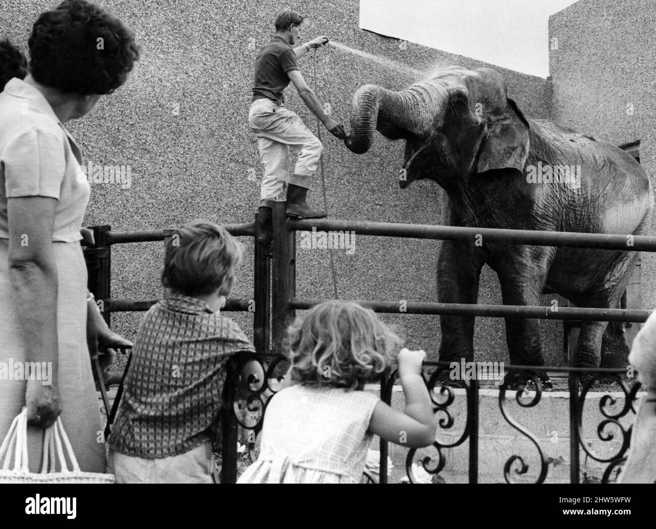 Visitors to Coventry Zoo watch elephant, Sukie, enjoying his daily shower bath. 4th August 1967. Stock Photo