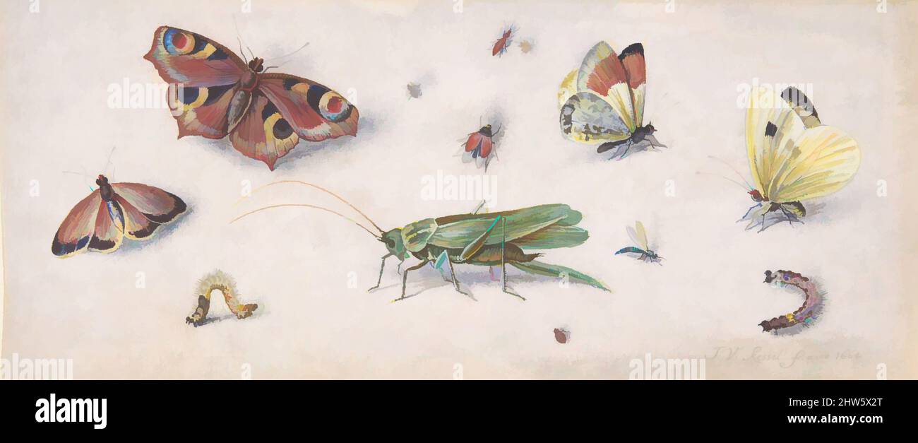 Art inspired by Insects, Butterflies, and a Grasshopper, 17th century, Black chalk, watercolor and gouache on parchment, sheet: 4 1/4 x 9 1/2 in. (10.8 x 24.1 cm), Drawings, Jan van Kessel (Flemish, 1626–1679, Classic works modernized by Artotop with a splash of modernity. Shapes, color and value, eye-catching visual impact on art. Emotions through freedom of artworks in a contemporary way. A timeless message pursuing a wildly creative new direction. Artists turning to the digital medium and creating the Artotop NFT Stock Photo