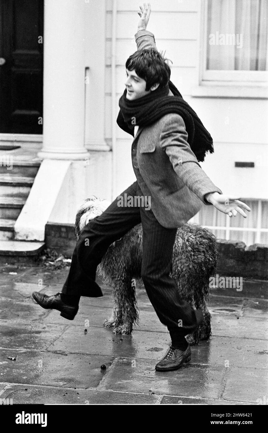 Paul McCartney of The Beatles at his St Johns Wood, London, home, with his sheep dog Martha behind him. Picture taken as part of an interview with Paul McCartney  - on day after premiere of television film Magical Mystery Tour - meeting was held at his St Johns Wood home in London   Picture taken 27th December 1967. Stock Photo
