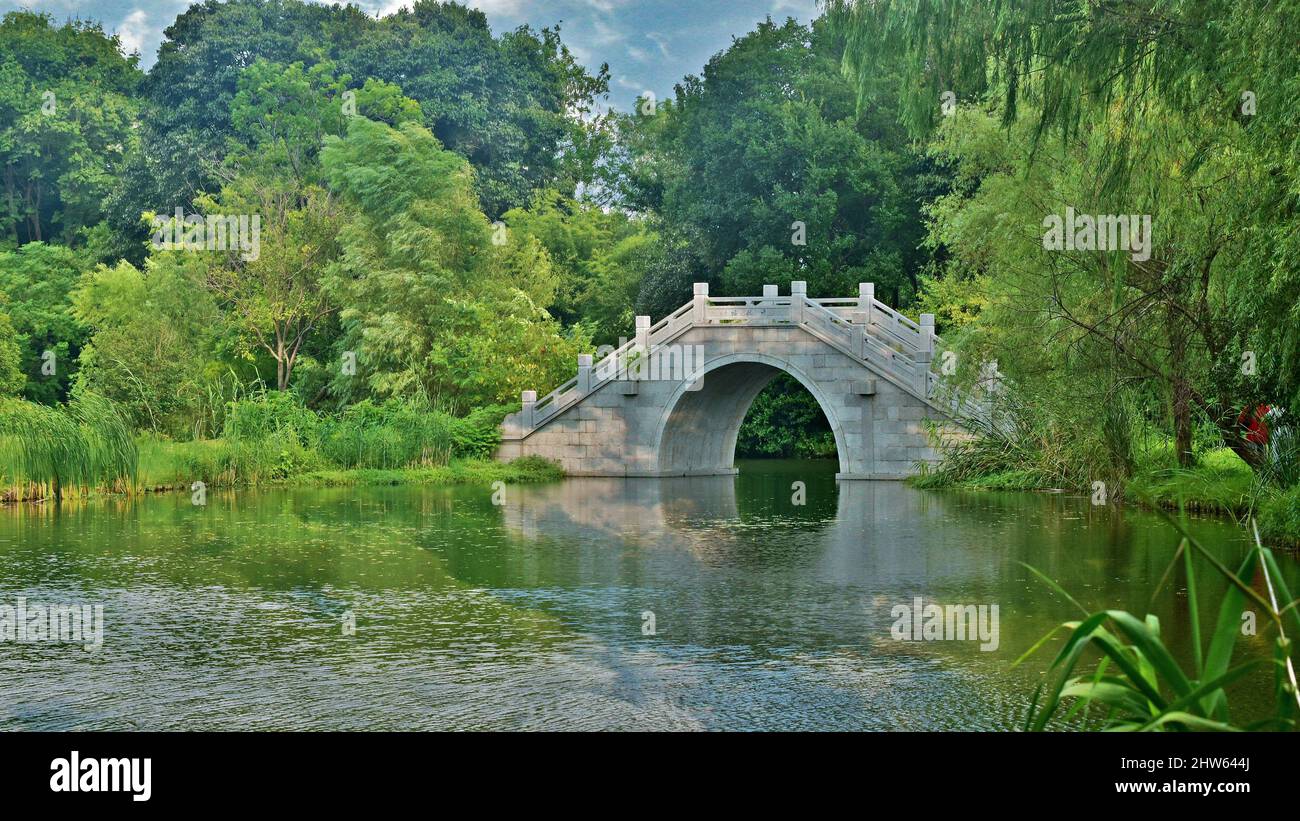 Beautiful view of an arch bridge surrounded by trees and greenery Stock ...