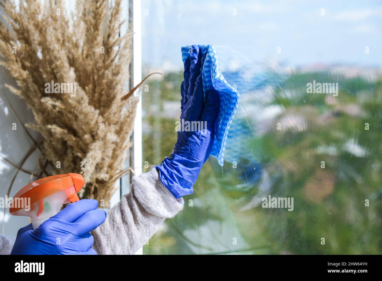 Woman in Blue Gloves Cleaning a Window Using Sprayed Liquid and micro