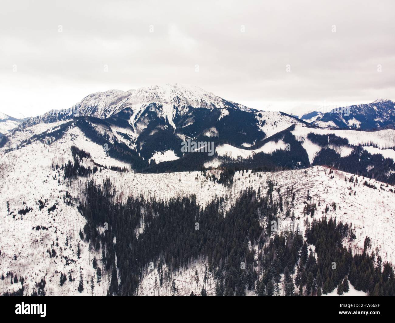 Aerial shot of beautiful winter scenery. Tranquil mountains' peeks covered with snow and dark-grey trees. High quality photo Stock Photo