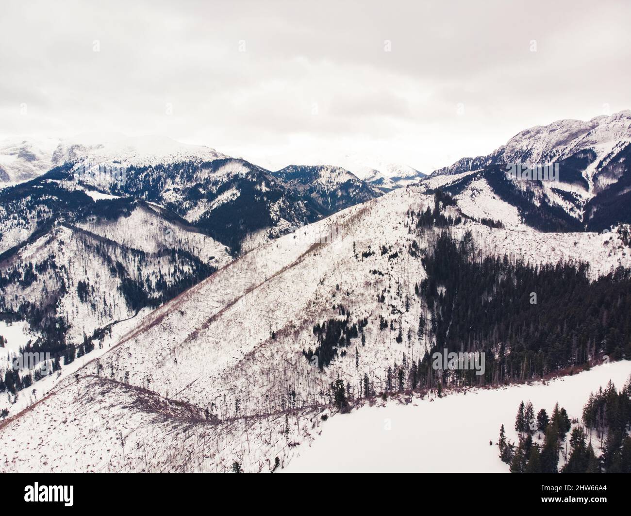 Stunning aerial view of snowy mountains. Cool tones. High quality photo Stock Photo
