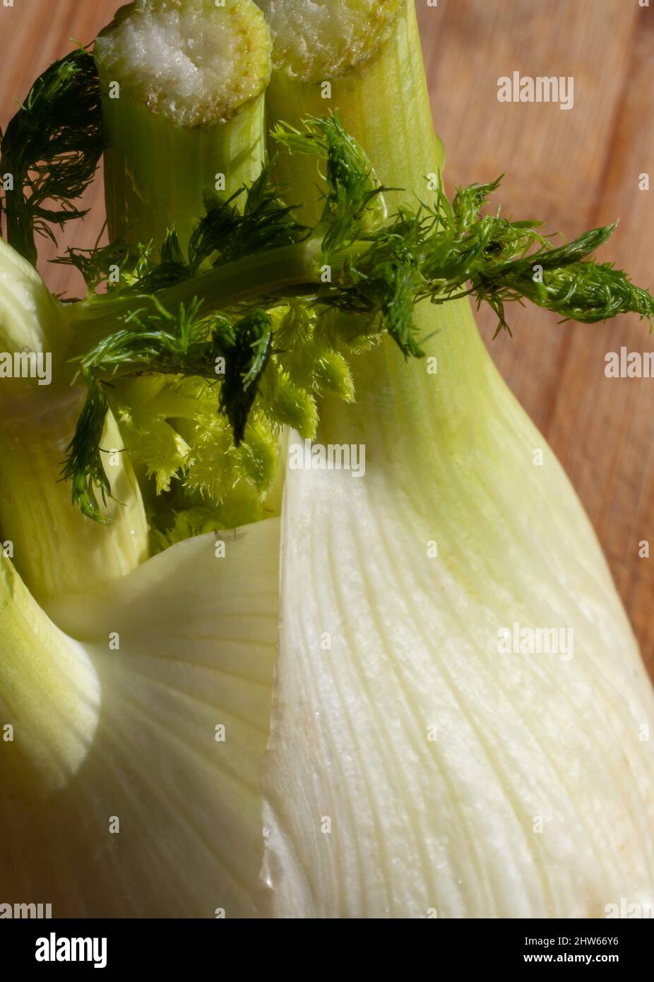 Details of a fresh fennel bulb (Foeniculum vulgare) . Mediterranean food. Close up. Selective focus Stock Photo