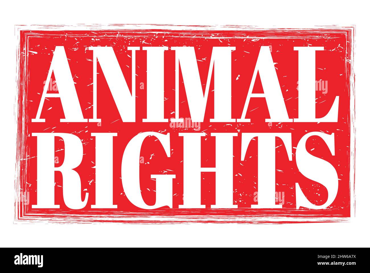 Animal Rights Text Grey ANIMAL RIGHTS, words written on red grungy stamp sign Stock Photo - Alamy