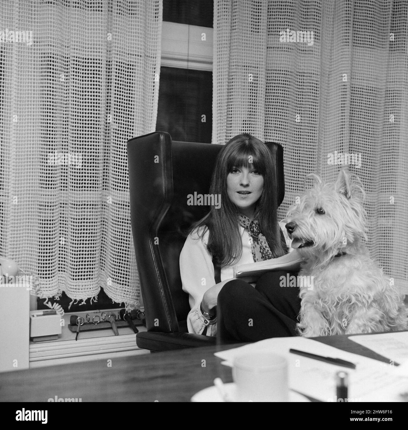 Cathy McGowan, English Television Personality, pictured in her office with her dog, 17th May 1968. Cathy McGowan (born 1943) is a British broadcaster and journalist, best known as presenter of the rock music television show, Ready Steady Go!. Stock Photo