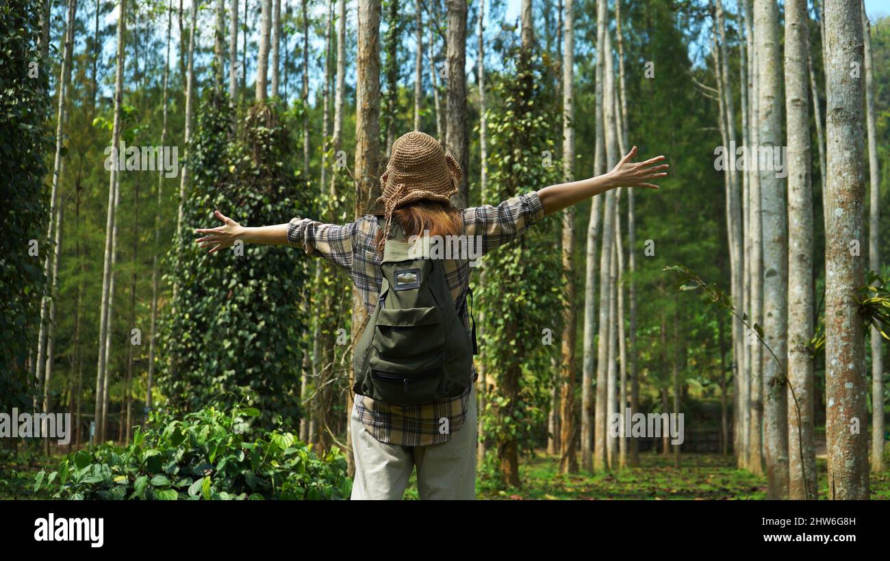 Young Southeast Asian female hiking in the forest Stock Photo - Alamy