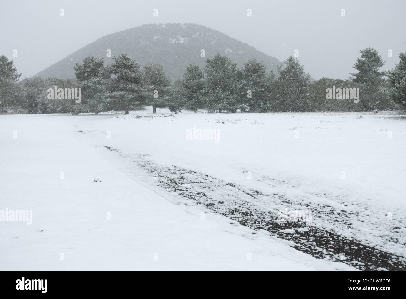 white snow falling on woodland landscape of Sicily Stock Photo