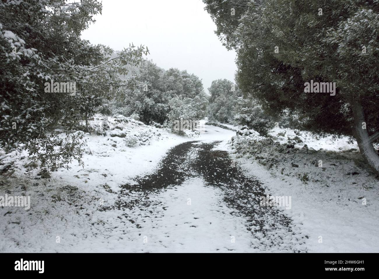 white snow falling on woodland path of Sicily Stock Photo