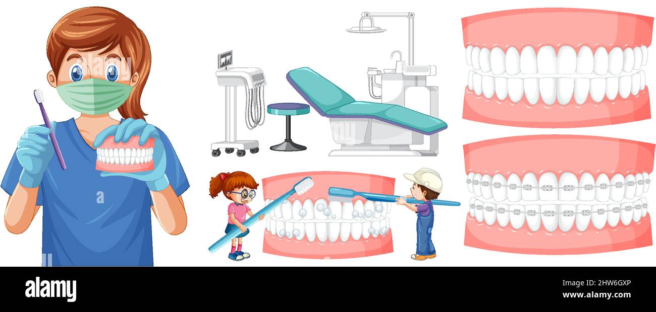 Set of all types of teeth on white background illustration Stock Vector ...