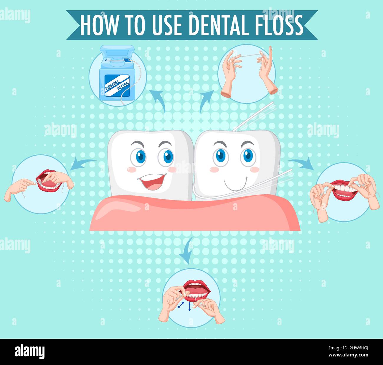 Clean tooth and process of flossing illustration Stock Vector Image ...