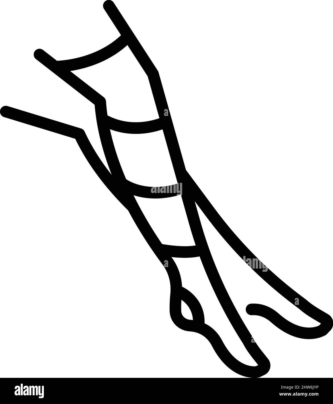 Stockings heels icon outline vector. Woman varicose. Blood circulation Stock Vector