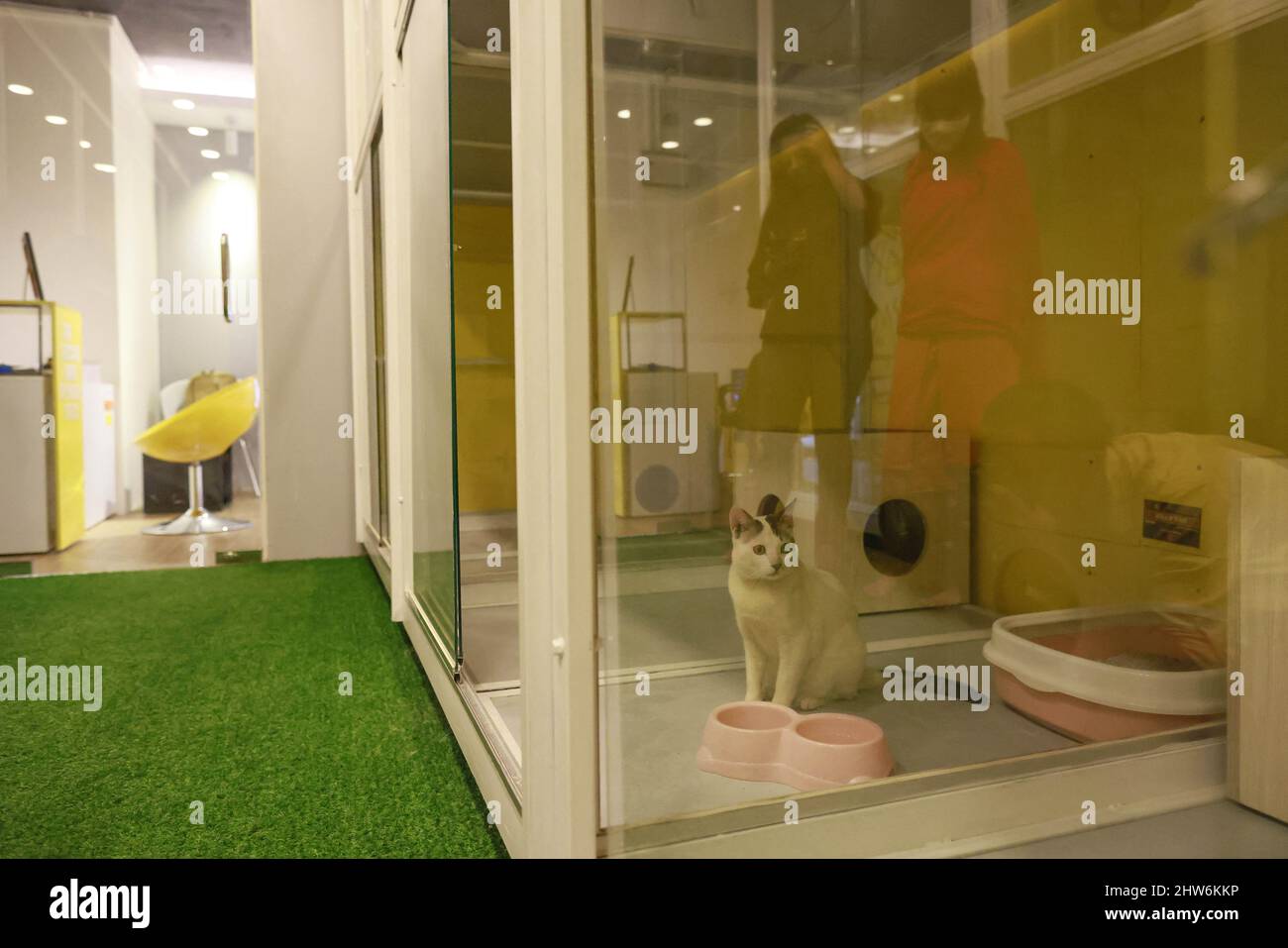 Furryghor the first ever boarding house for pet animals in