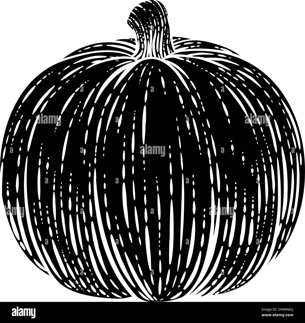 Pumpkin Vegetable Vintage Woodcut Illustration Stock Vector