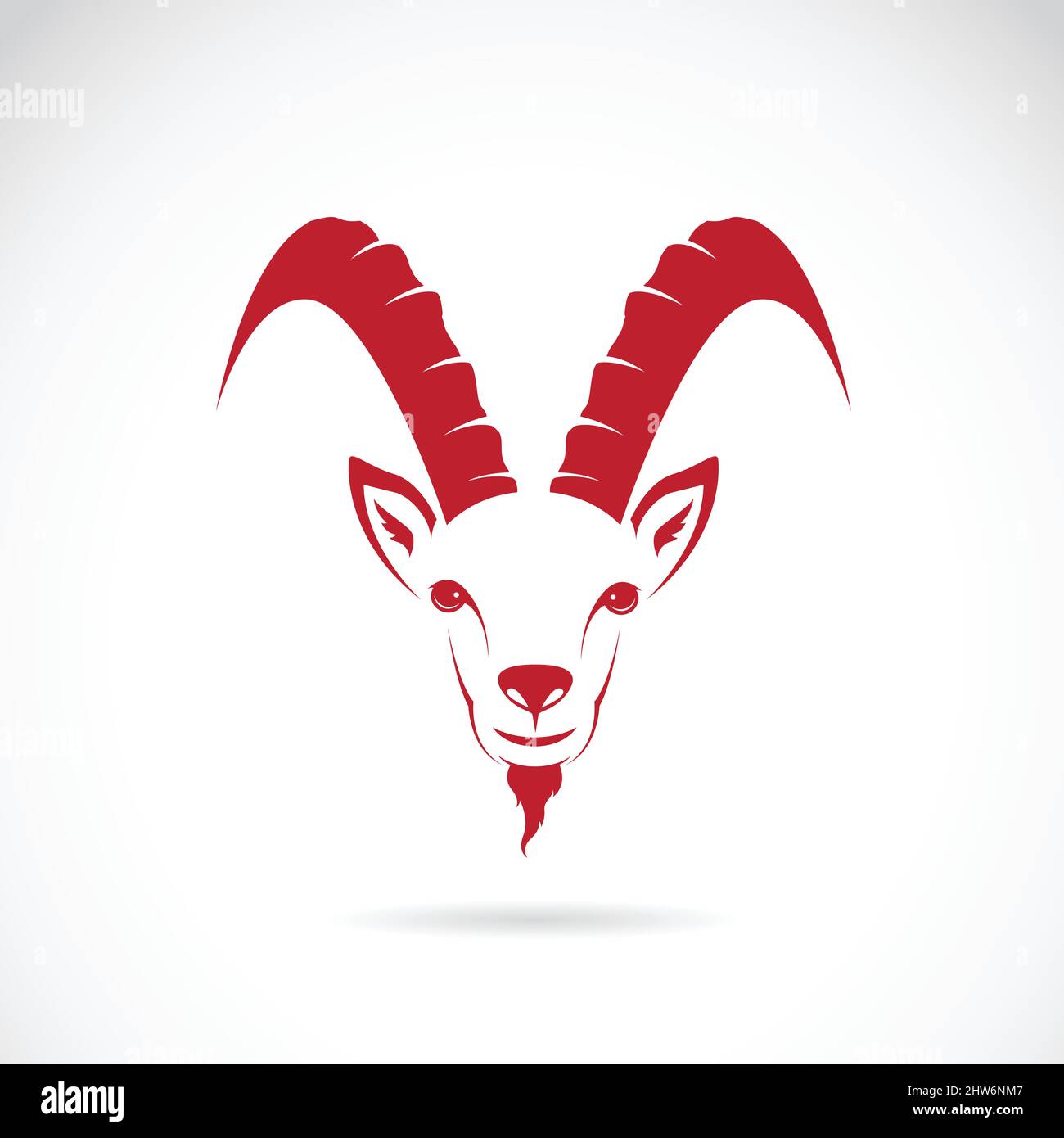 Vector image of goat (chamois) on white background. Easy editable ...