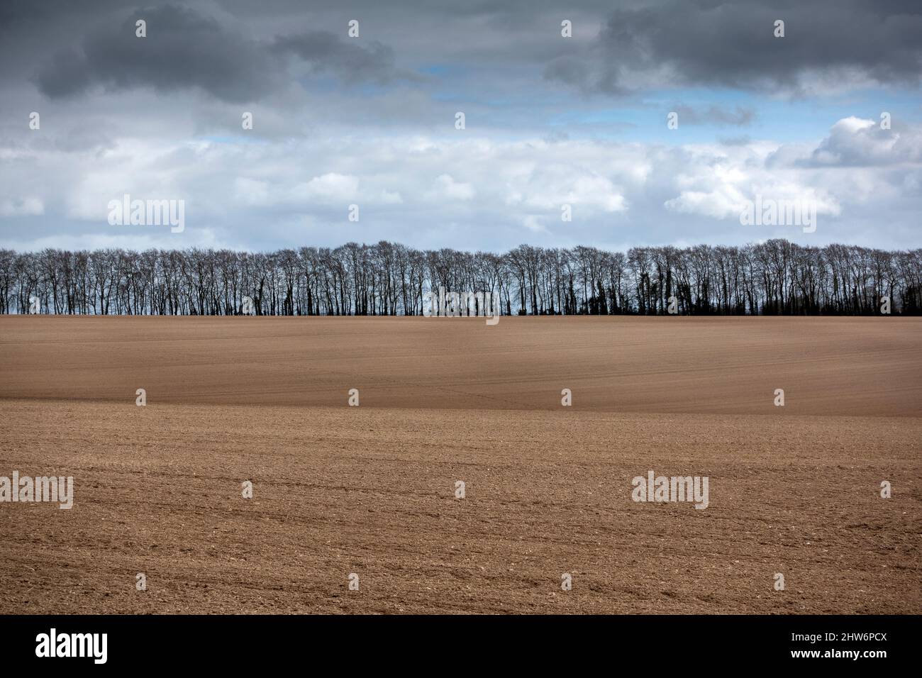 Winter landscape - Silhouette of bare trees across the edge of a ploughed field covered by dark clouds Stock Photo
