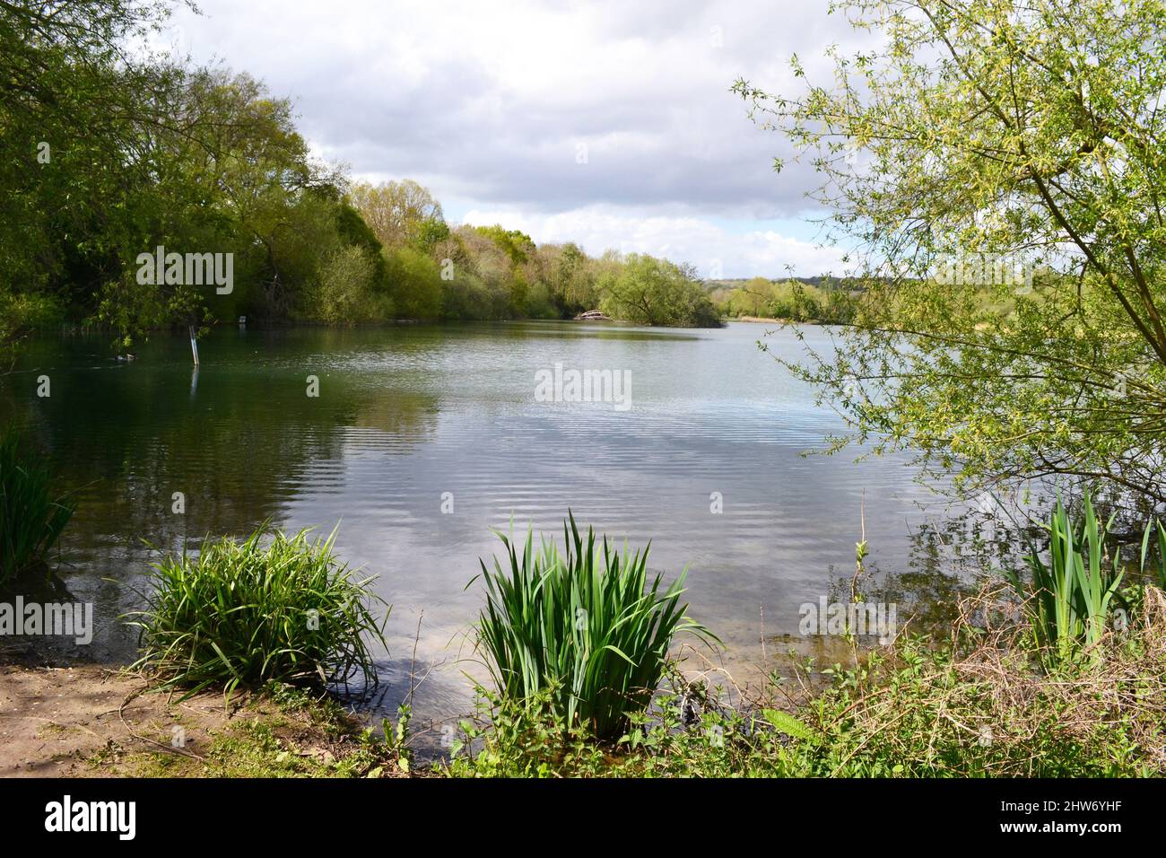 Spade Oak Nature Reserve, Bourne End, Buckinghamshire, England, UK