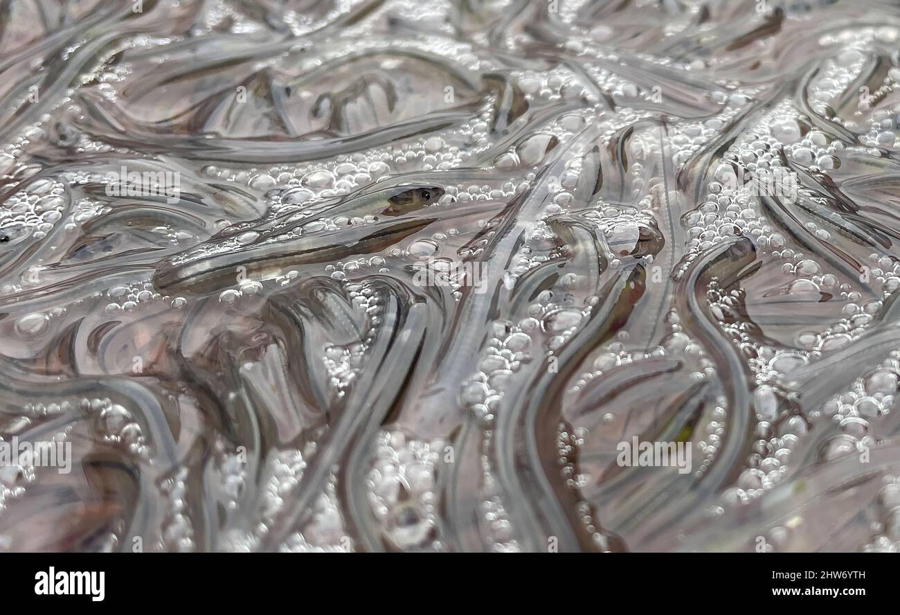 Berlin, Germany. 04th Mar, 2022. At a press event of the Berlin