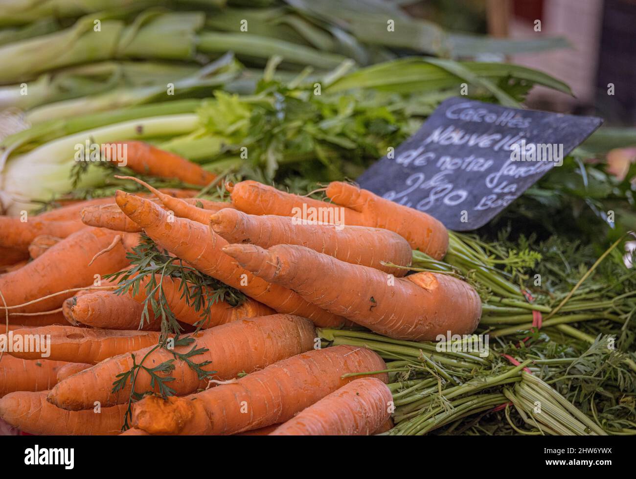 Carrots for sale on a market stall Stock Photo Alamy